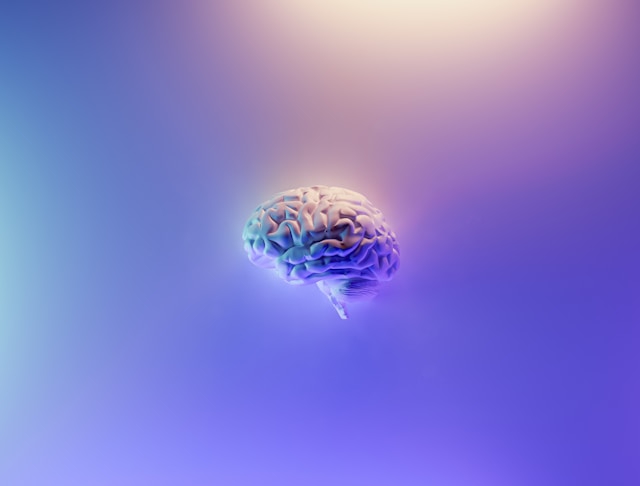 Un cerveau stylisé